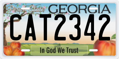 GA license plate CAT2342