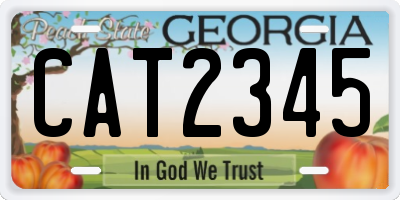 GA license plate CAT2345