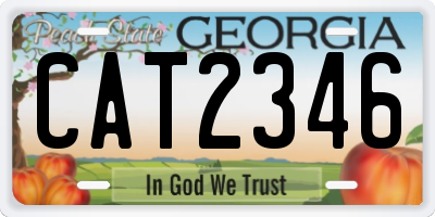 GA license plate CAT2346