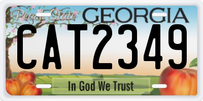 GA license plate CAT2349