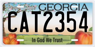 GA license plate CAT2354