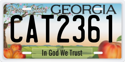 GA license plate CAT2361