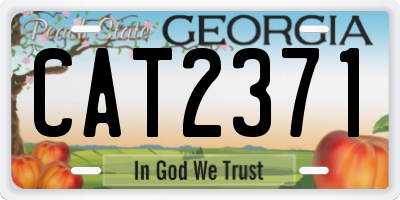 GA license plate CAT2371