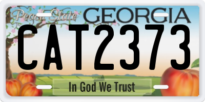 GA license plate CAT2373