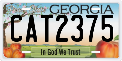 GA license plate CAT2375