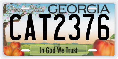 GA license plate CAT2376