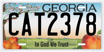 GA license plate CAT2378