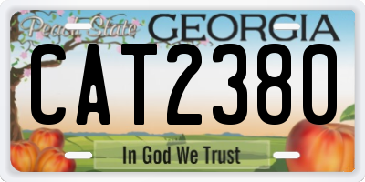 GA license plate CAT2380