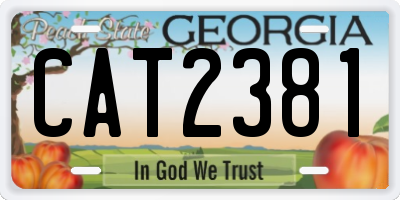 GA license plate CAT2381