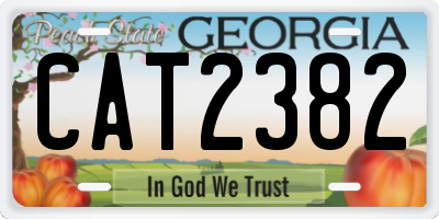 GA license plate CAT2382