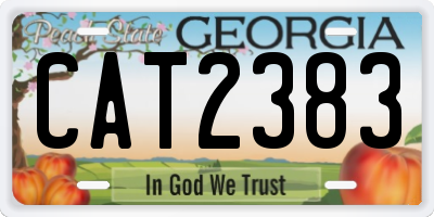 GA license plate CAT2383