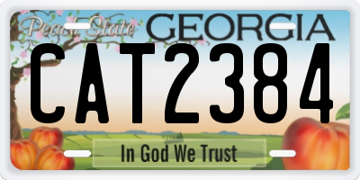 GA license plate CAT2384