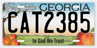GA license plate CAT2385