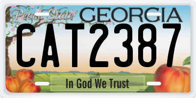 GA license plate CAT2387