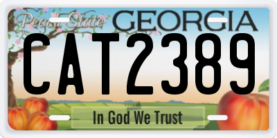 GA license plate CAT2389