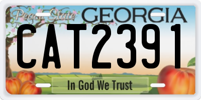 GA license plate CAT2391