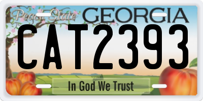 GA license plate CAT2393
