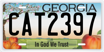 GA license plate CAT2397