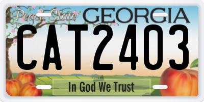 GA license plate CAT2403