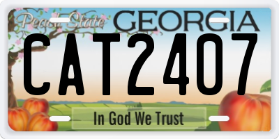 GA license plate CAT2407