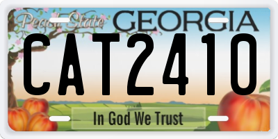 GA license plate CAT2410