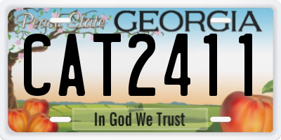 GA license plate CAT2411