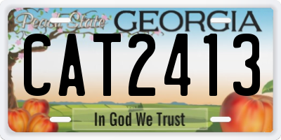 GA license plate CAT2413