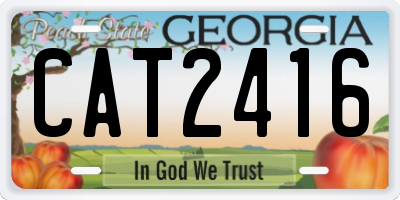 GA license plate CAT2416