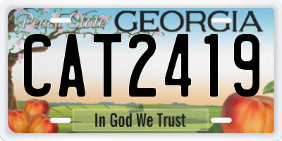 GA license plate CAT2419