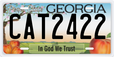 GA license plate CAT2422