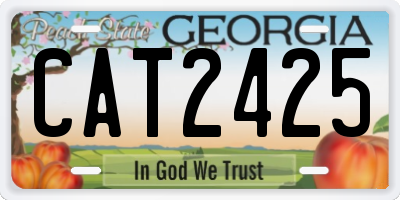 GA license plate CAT2425