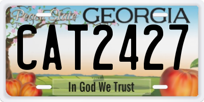 GA license plate CAT2427