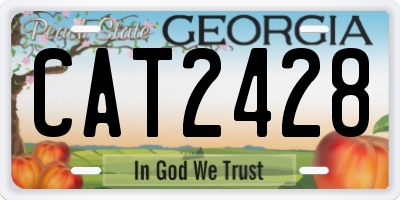 GA license plate CAT2428