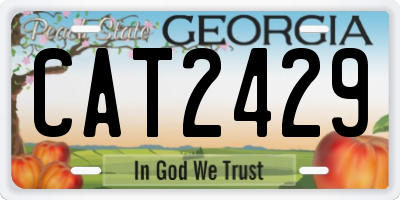 GA license plate CAT2429