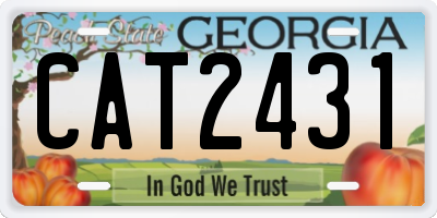GA license plate CAT2431
