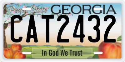 GA license plate CAT2432