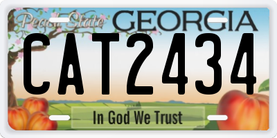 GA license plate CAT2434