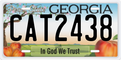 GA license plate CAT2438