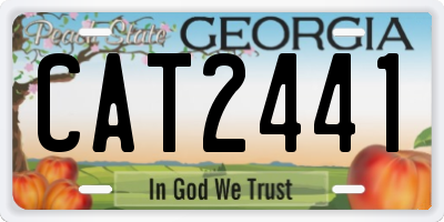 GA license plate CAT2441