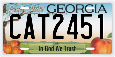 GA license plate CAT2451