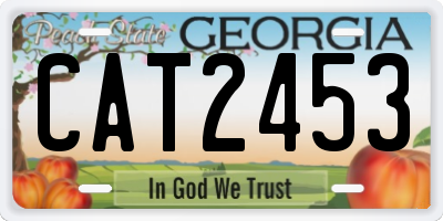 GA license plate CAT2453