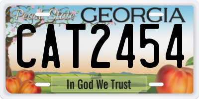 GA license plate CAT2454