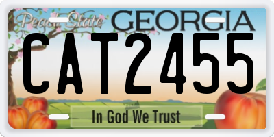 GA license plate CAT2455