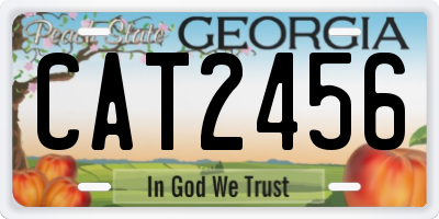 GA license plate CAT2456