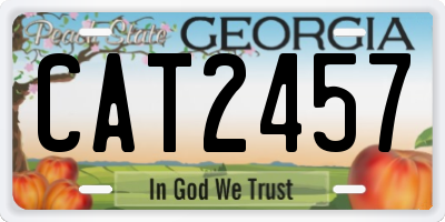 GA license plate CAT2457