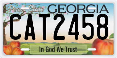 GA license plate CAT2458