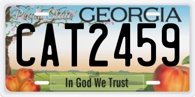 GA license plate CAT2459