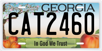 GA license plate CAT2460