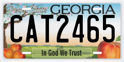 GA license plate CAT2465
