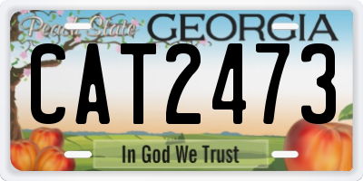 GA license plate CAT2473
